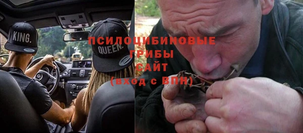 ГАЛЛЮЦИНОГЕННЫЕ ГРИБЫ Лагань