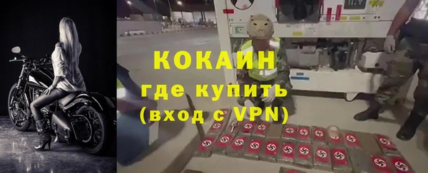 сатива Лабытнанги