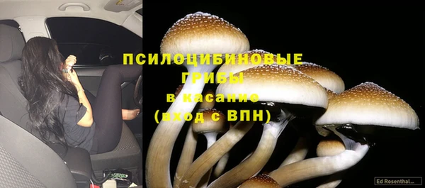 ECSTASY Конаково