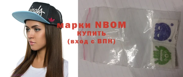 ГАЛЛЮЦИНОГЕННЫЕ ГРИБЫ Лагань
