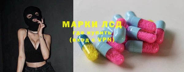 сатива Краснотурьинск