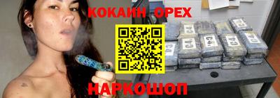 стафф Камышлов