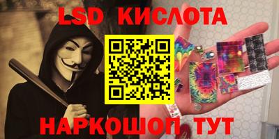стафф Камышлов