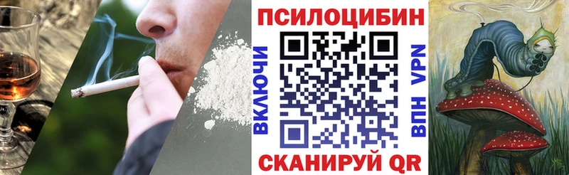 Галлюциногенные грибы GOLDEN TEACHER  наркота  Мелеуз 
