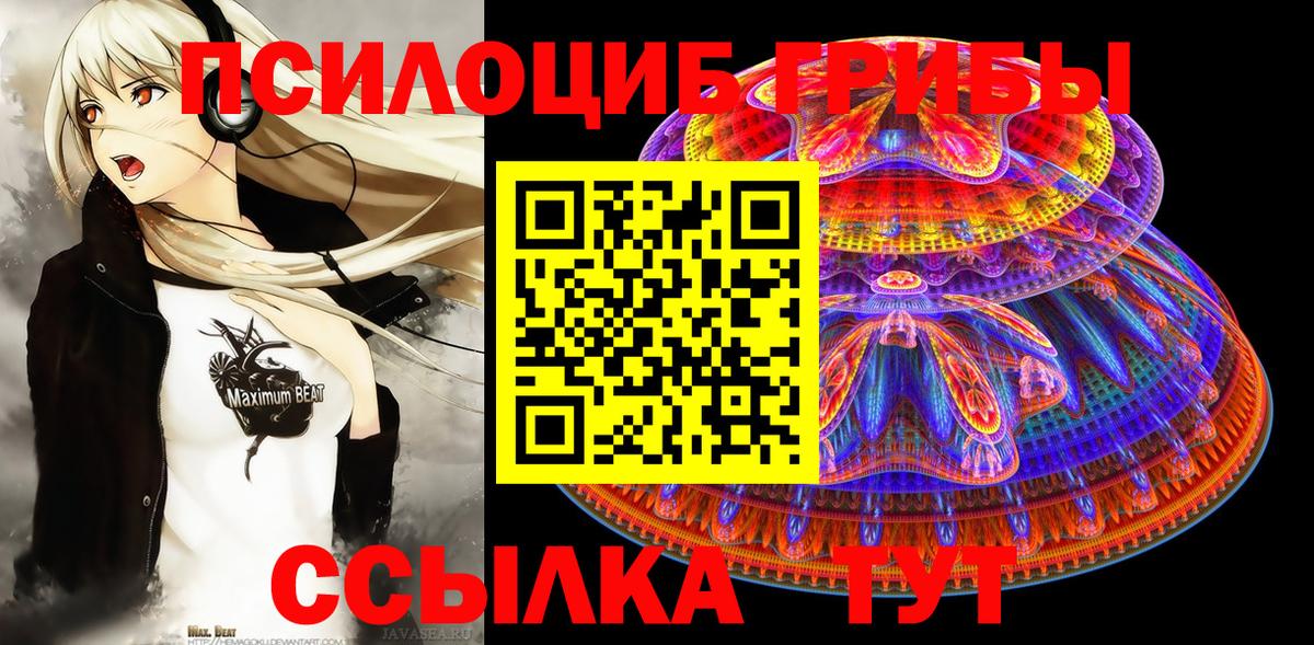 Псилоцибиновые грибы Psilocybe Мелеуз